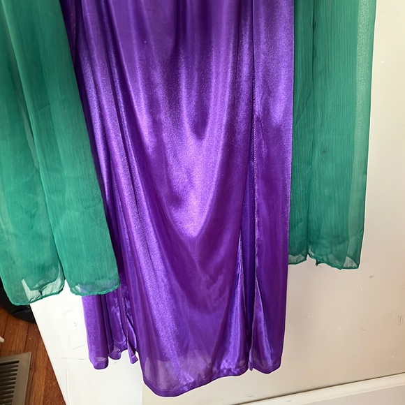 Costume - Picture 2 of 2